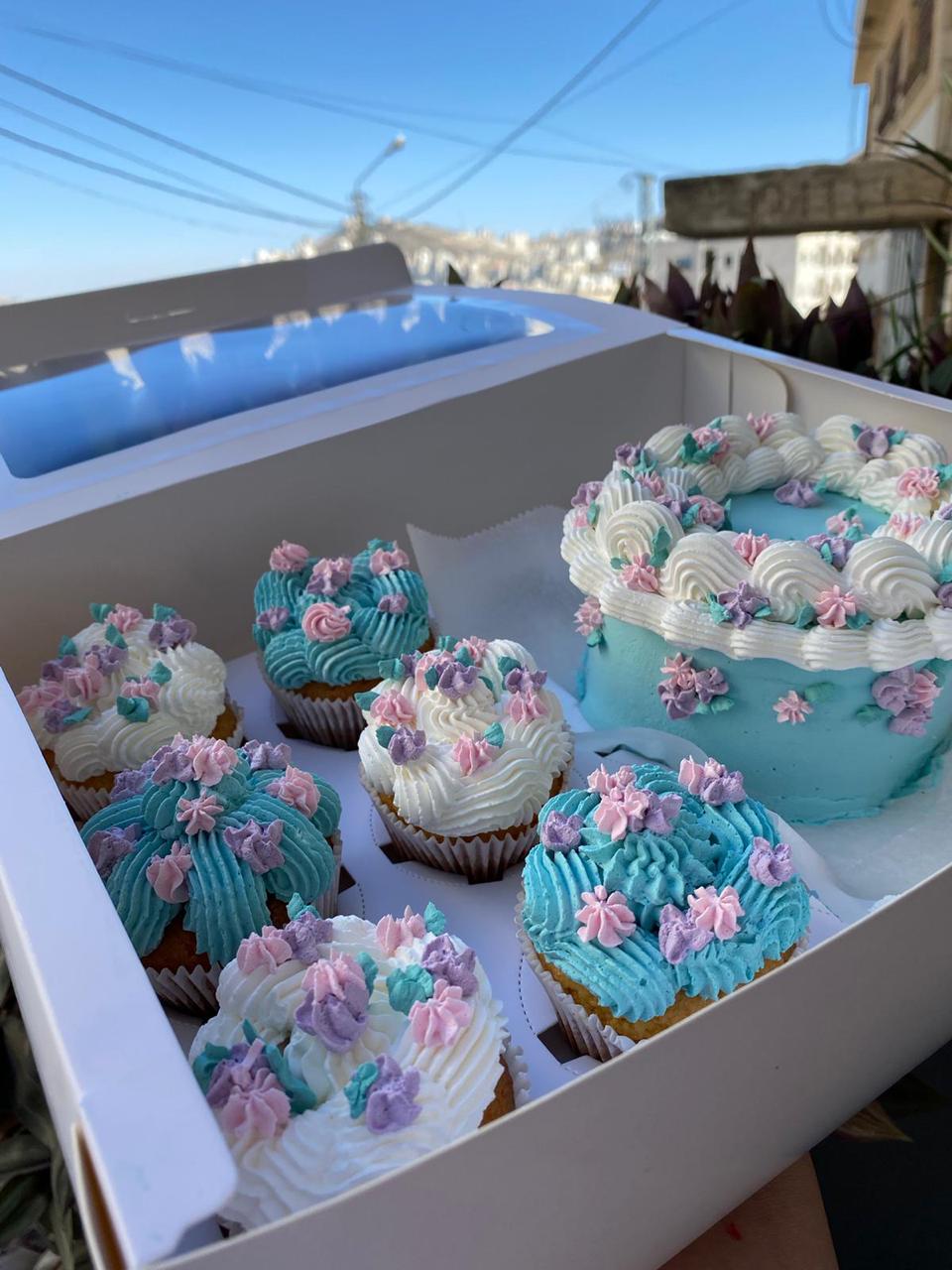 Cake and Cupcake box 4